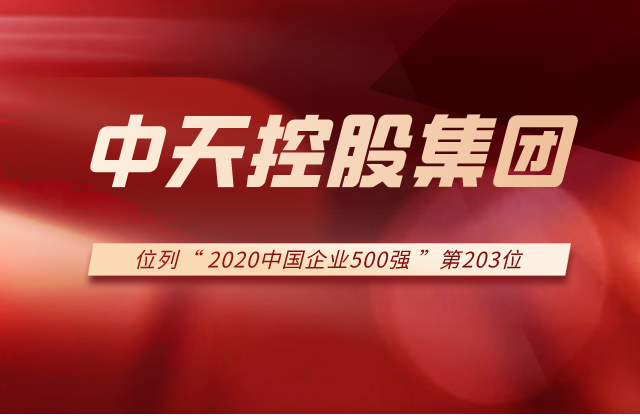 3044永利集团列2020中国企业500强第203位！